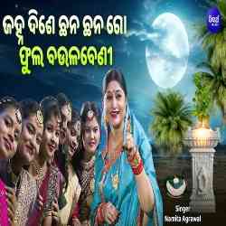 Janha Dise Chhana Chhana Go -Namita Agrawal